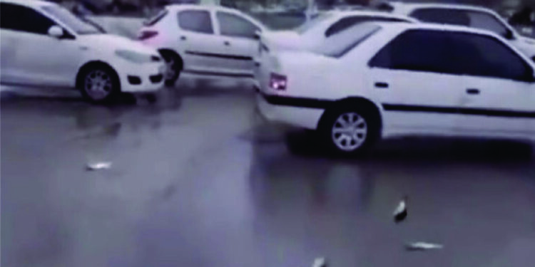 NÃO HOUVE CHUVA DE PEIXE NO IRÃ! MAS É UM FENÔMENO POSSÍVEL DE ACONTECER! SÓ NÃO DÁ PARA ESCOLHER A EPÉCIE.