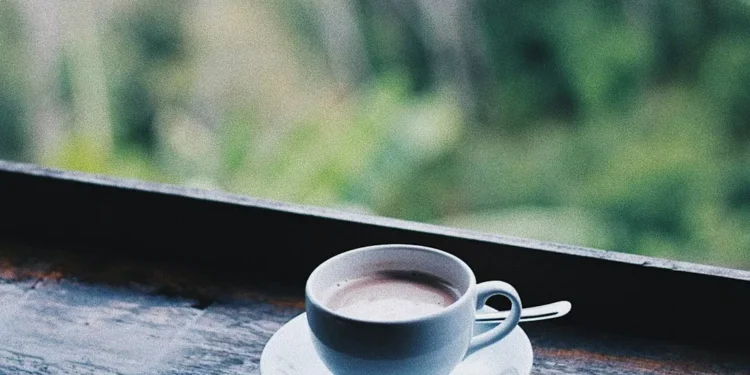 “Desvendando as Emoções por Trás das Finanças”