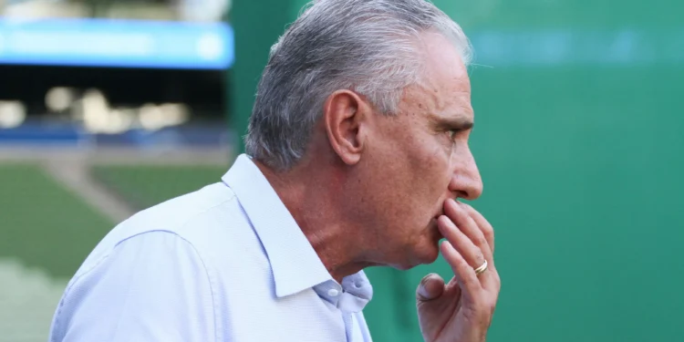 Torcedor do Palmeiras que cuspiu em Tite, do Flamengo, tem contrato cancelado; entenda