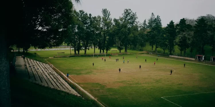 “Os diversos significados do esporte na vida das pessoas”