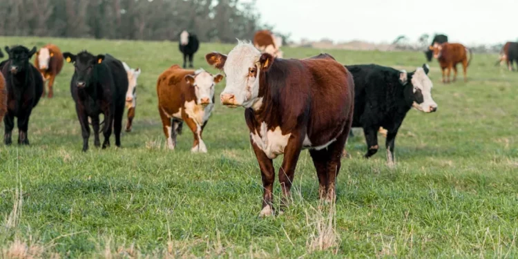 “Transformação e Inspiração: Experiências Positivas na Economia”