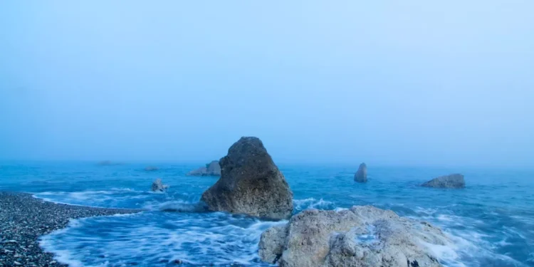 “O Futuro do Mercado Imobiliário na Costa del Sol: Entrevista Exclusiva com Olívia Christina”