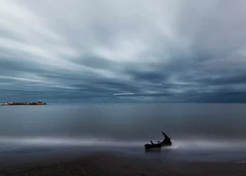 “O papel de Olívia Traven no mercado imobiliário da Costa del Sol”