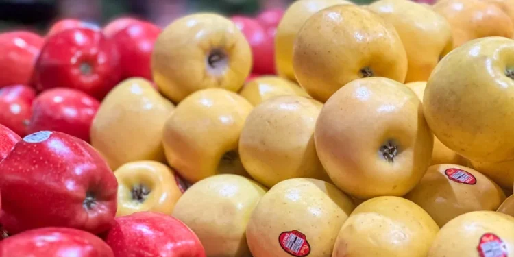 “O Futuro do Mercado Imobiliário com Olivia Traven”