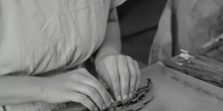 “O Impacto da Economia na Sociedade”