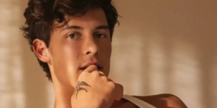 Shawn Mendes mostra que é ‘devoto’ do Brasil e faz referência a Fernanda Torres no Lollapalooza