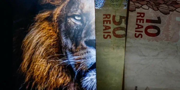 Imposto de Renda 2025: o que muda, quem deve declarar e como evitar erros