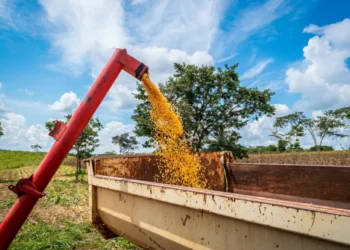 Fazenda prevê crescimento do PIB de 2025 puxado pelo agro