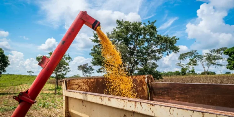 Fazenda prevê crescimento do PIB de 2025 puxado pelo agro