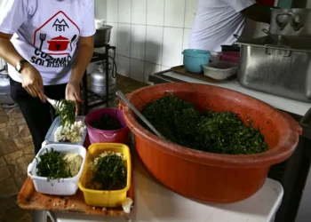 Cozinha Solidária: TCU revela falta de documentação que comprove entrega de alimentos