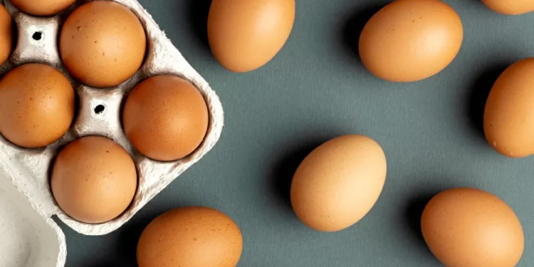 EUA iniciam importação de ovos para combater escassez e preços elevados