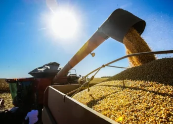 Conab prevê safra de grãos de mais de 328 milhões de toneladas