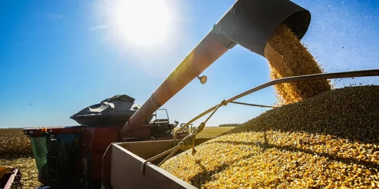 Conab prevê safra de grãos de mais de 328 milhões de toneladas