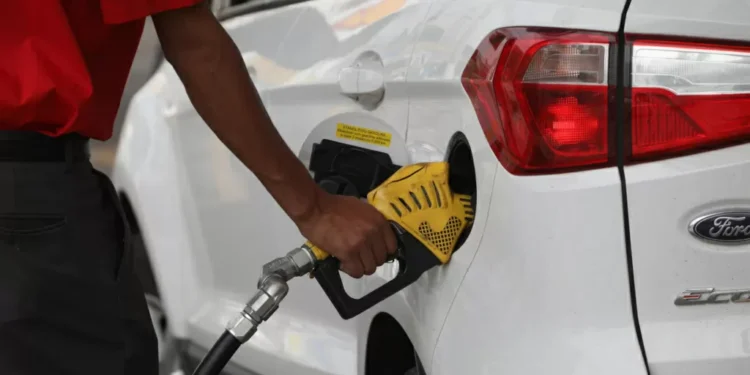 Opep prevê aumento da demanda global por petróleo até 2026