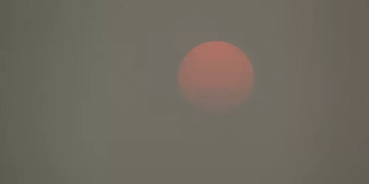 Relatório do Banco Central revela preocupação sobre riscos climáticos no sistema financeiro brasileiro