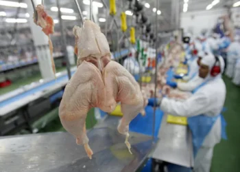 Exportação de carne de frango do RS à China já estava suspensa antes de caso de gripe aviária