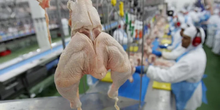 Exportação de carne de frango do RS à China já estava suspensa antes de caso de gripe aviária