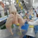 Exportação de carne de frango do RS à China já estava suspensa antes de caso de gripe aviária