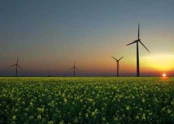 Família EDP com forte valorização à boleia de “redesenho fiscal menos penalizador” dos EUA