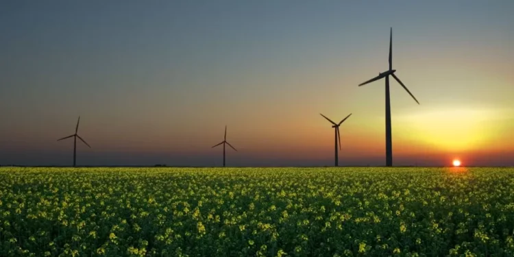 Família EDP com forte valorização à boleia de “redesenho fiscal menos penalizador” dos EUA