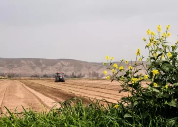 Brasil é o quinto no crescimento econômico global com aumento de 1,4% no PIB