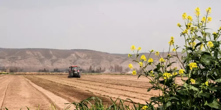 Brasil é o quinto no crescimento econômico global com aumento de 1,4% no PIB