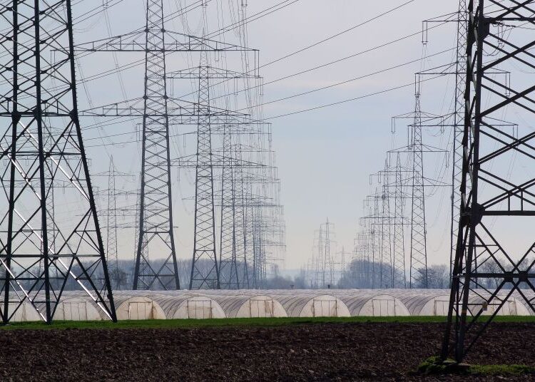 Angola lidera agenda energética da África Austral com visão estratégica de João Baptista Borges