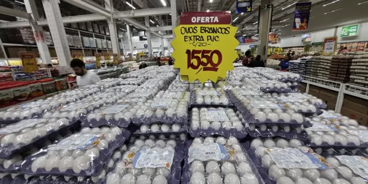 Preço do ovo cai em julho, mas setor avícola se preocupa com tarifas de Trump