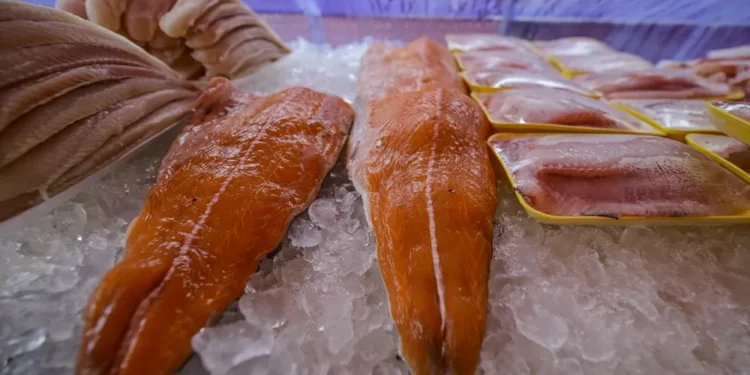 Abipesca solicita R$ 900 milhões ao governo para enfrentar ‘tarifaço’ de Trump