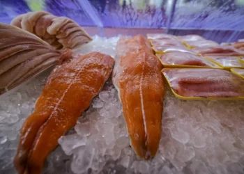 Setor pesqueiro tenta reabertura do mercado na UE diante das tarifas impostas pelos EUA