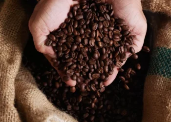 Setor cafeeiro intensifica negociações para reverter tarifa dos EUA sobre café brasileiro