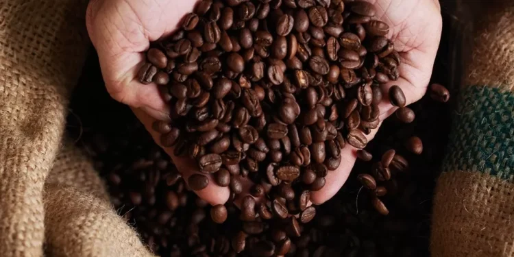 Setor cafeeiro intensifica negociações para reverter tarifa dos EUA sobre café brasileiro