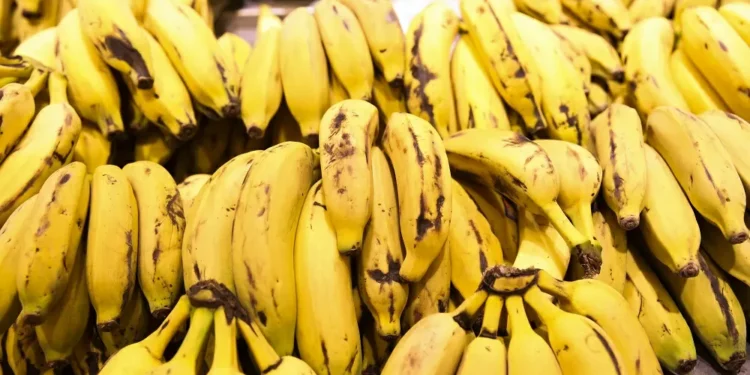 Deputada do PL quer impedir que Brasil compre bananas do exterior