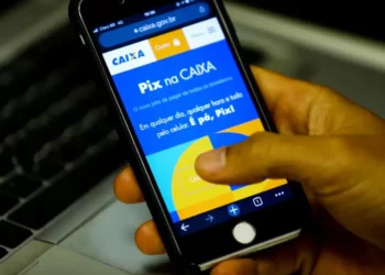 Pix bate recorde e supera 313 milhões de transações em um dia, diz BC