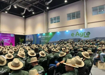 14ª edição do Festival da Língua Portuguesa promete surpresas em Londres