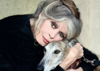 Funeral de Brigitte Bardot acontecerá em janeiro e será transmitido em telões