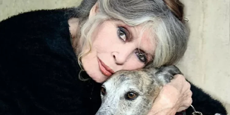 Funeral de Brigitte Bardot acontecerá em janeiro e será transmitido em telões