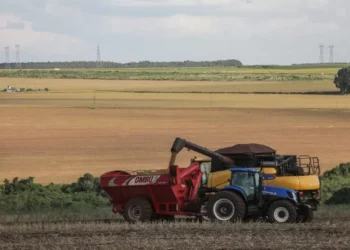 IBGE prevê safra recorde de 346 milhões de toneladas em 2025