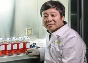 O começo do fim das injeções? Ciência reativa produção de insulina.