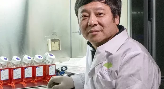 O começo do fim das injeções? Ciência reativa produção de insulina.